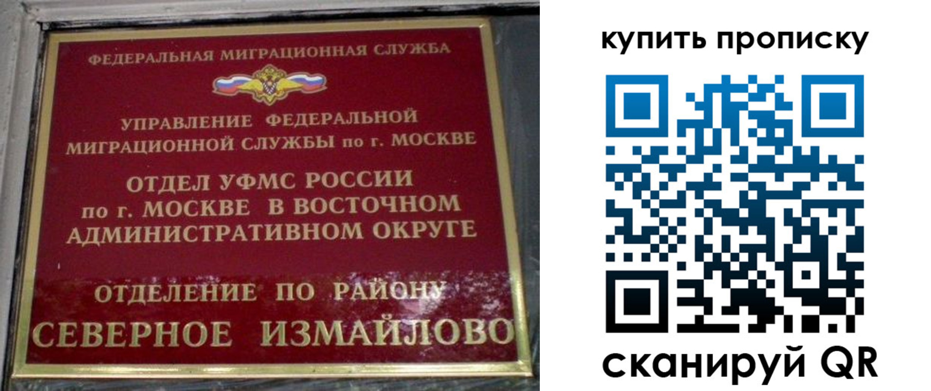 прописка в квартире в Ясном